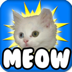 Kitty Go Meow Meow