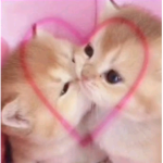 Sweetiii_067