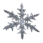 Snowflake Studio!