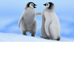 pro penguins :)
