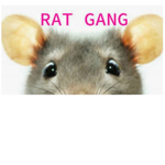 ---Rat gang---