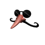 The Mask Orginization