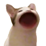 The Meme World xD