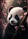 The cutey panda herd