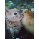 Team Rabbit's