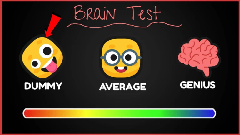 [UPD] Brain Test 🧠