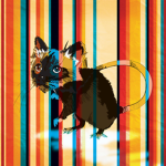 The Cat Rat
