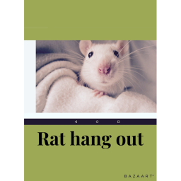 obby upadate! rat hang out