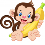 Monkey Forever