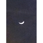 Moonvibesbetrue