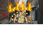 Doge and Noob cult!