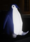 Amici di Daki
