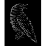 Black Void Military