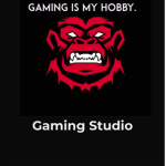 Gaming Studio.
