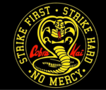 Cobra kai hawks Nation