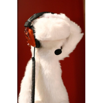 Hello? Yes!