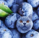 Tirnification