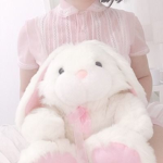 Fancy Bunnys