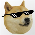 Doge doge doge doge doge Doge doge doge doge dog