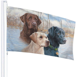 ~Dog Capture The Flag~