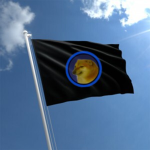 Doge Union Broadcasting Service