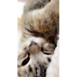 IdkHehhehehehehehehehhe