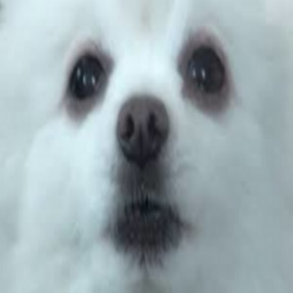 Gabe The Dog Roblox decal