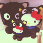 Jen Cats
