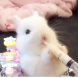 ☆彡