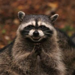 Trash_Pandas
