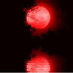 『SILVERMOON』