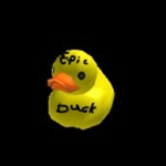 Ducks Beakclub