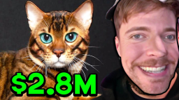 😻 Podnieś koty i udowodnij, że mama się myliła!