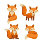 ~Fox network~