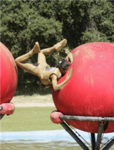 people who love wipeout