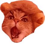 super secret chogkittens assosiation
