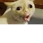 udafcoyee