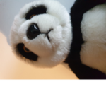 PANDA:0