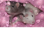 Ratty Fatties Hun;)