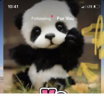 Panda everyone
