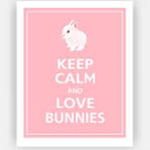 The bunny national
