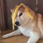 HyperChat