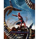 spider-man NO WAY HOME (fans)