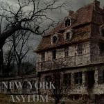 New York Asylum