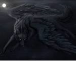 The wolf group :3