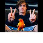Logang Paulers Official Group