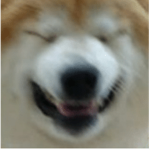‖ɖɾeaɱeɾs‖