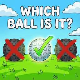 Who threw the ball?