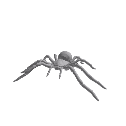 spider rig