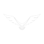 Hawkridge Protection Services
